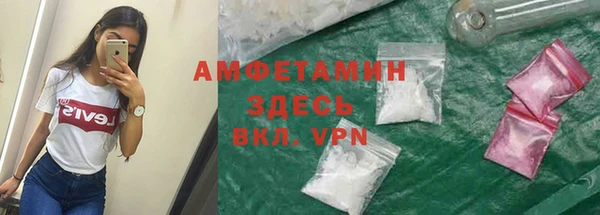 прущие крисы Инта