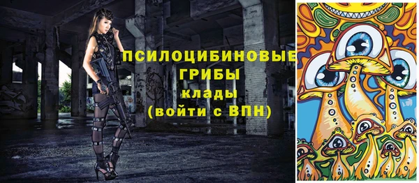 прущие крисы Инта