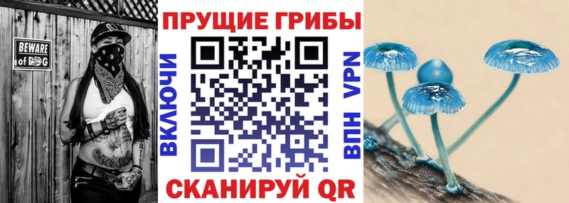 Галлюциногенные грибы Magic Shrooms Купить где Артёмовск